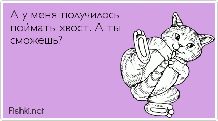 А у меня получилось  поймать хвост. А ты  сможешь?