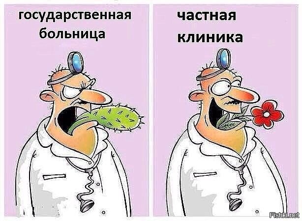 Из солянки