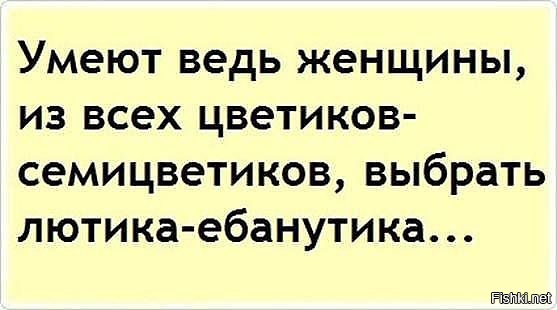 Из солянки
