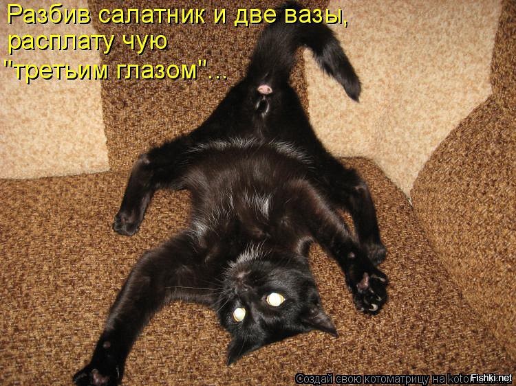 Из солянки