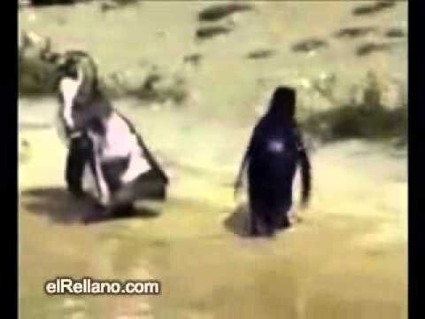 Всех с пяттниЦЦой