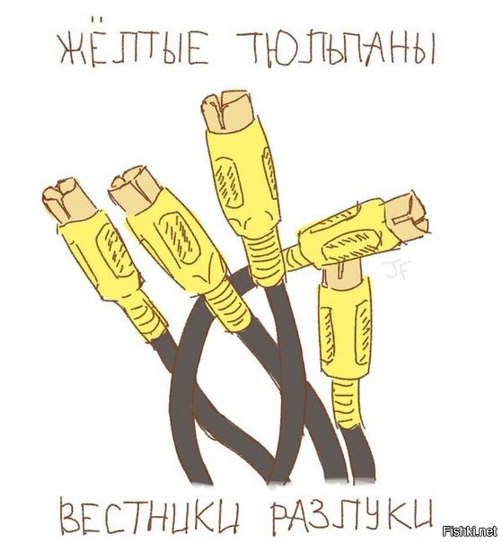 Из солянки