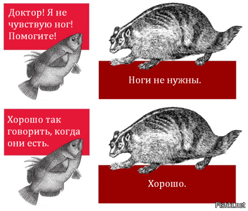 Из солянки