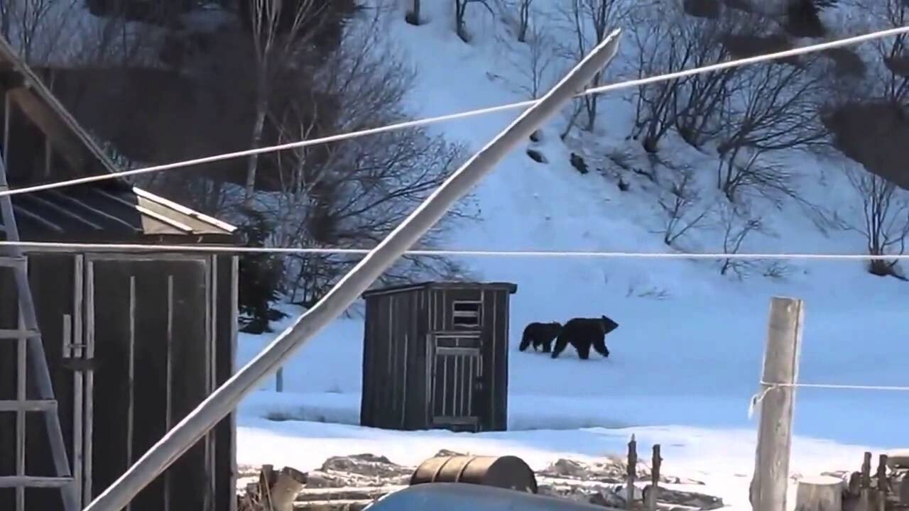 Это Россия!!!Убедительная просьба не показывать американцам!)