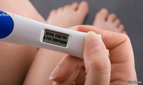 Из солянки
