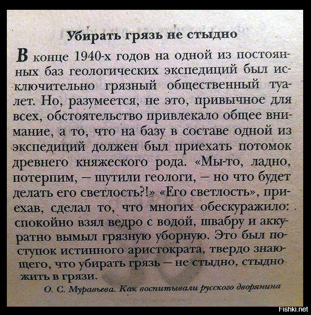 Из солянки