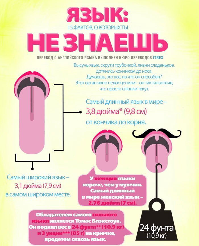 15 фактов о языке