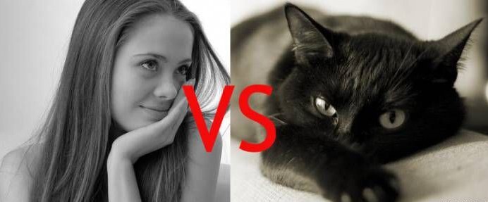 Почему кошка лучше, чем женщина