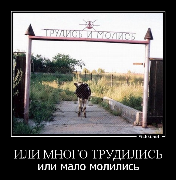 или много трудились