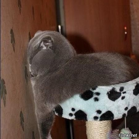 хочу выходные)))