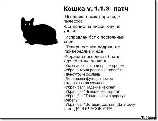 Из солянки