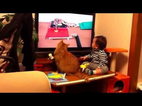  Кот с ребенком смотрят телевизор