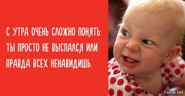 Из солянки