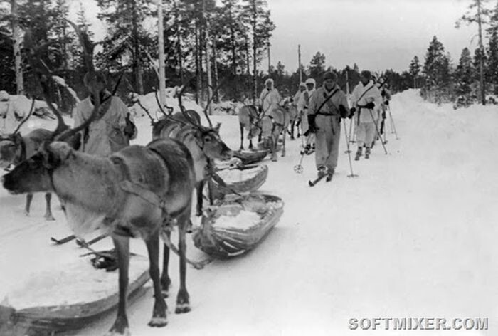 Боевые лыжи финской армии: как создавалась лыжная кавалерия