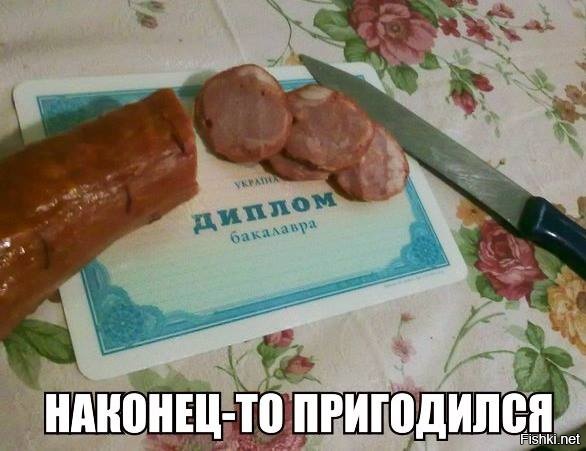 Из солянки