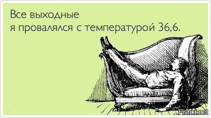 Из солянки