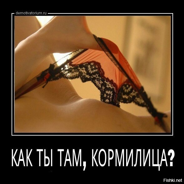Из солянки