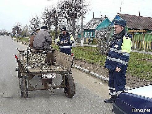 Из солянки