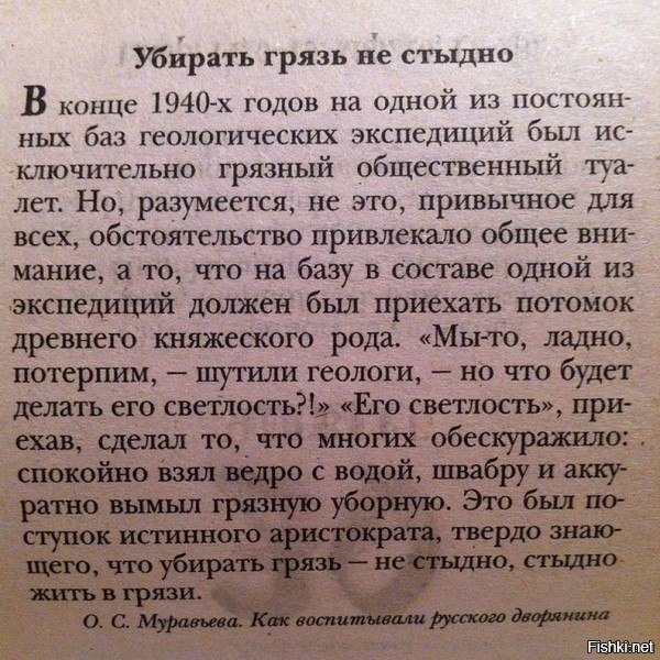 Из солянки