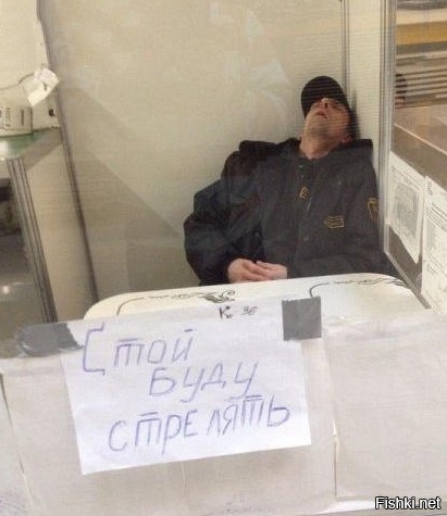 Из солянки