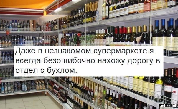 Из солянки