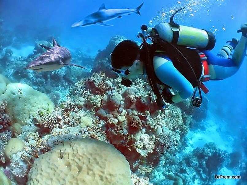 7 самых стоящих мест для любителей подводного плавания