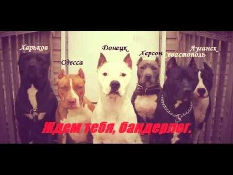 Рэп в поддержку Донбасса! 