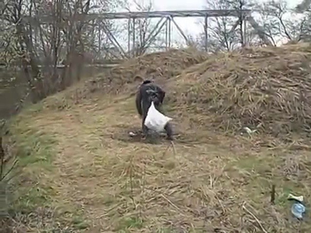 Непреодолимая сила