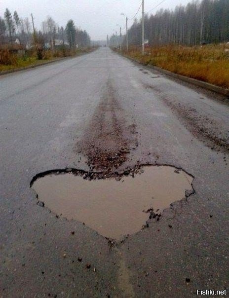 Из солянки