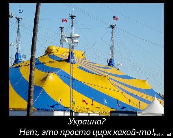 Из солянки