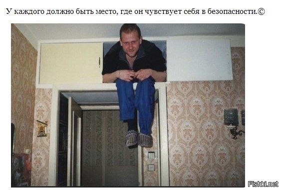 Из солянки