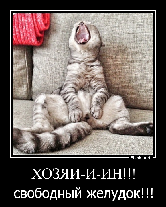 ХОЗЯИ-И-ИН!!!