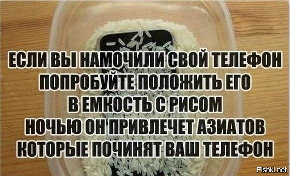 Из солянки