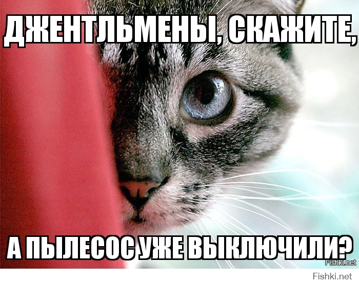 джентльмены, скажите,