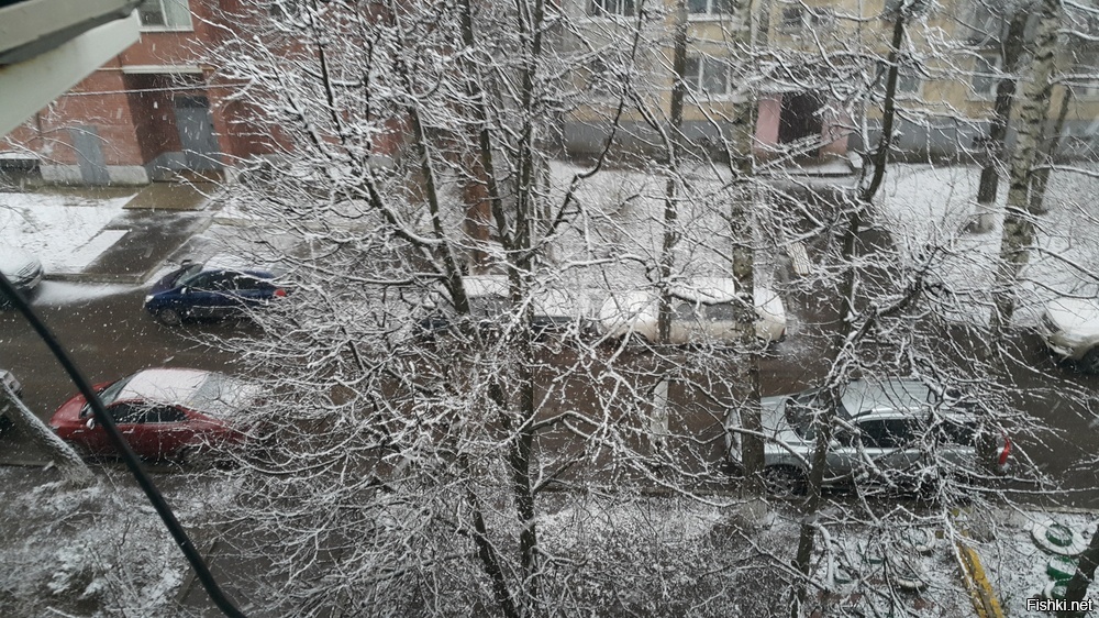 Подмосковье, конец апреля