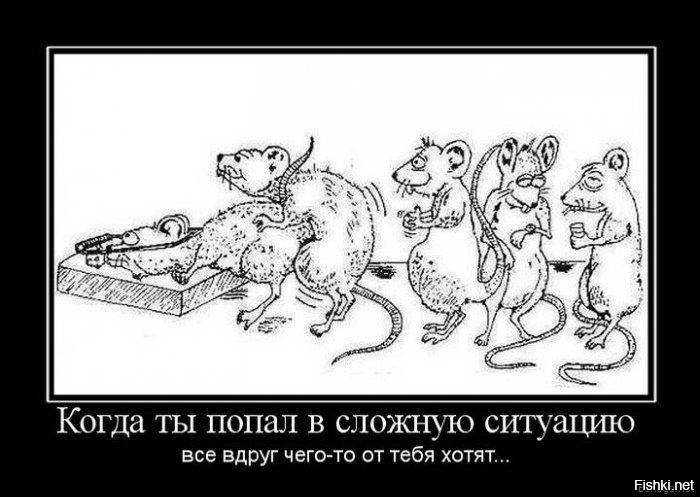Из солянки