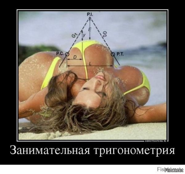 Из солянки