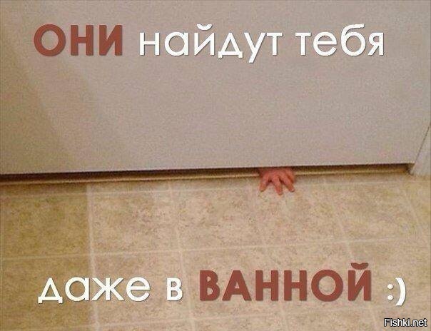 Из солянки