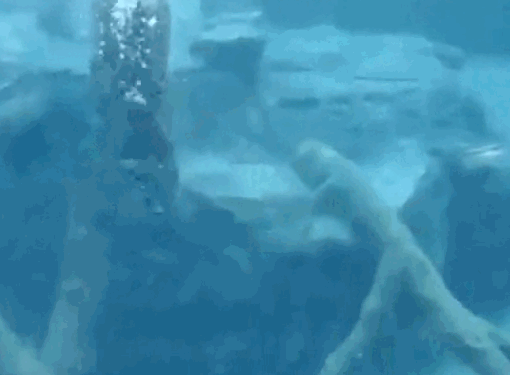 Ягуар под водой