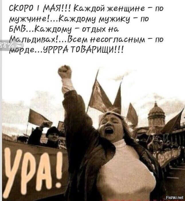 Из солянки