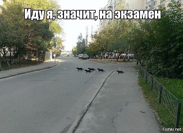Из солянки