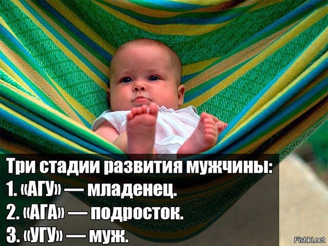 Из солянки