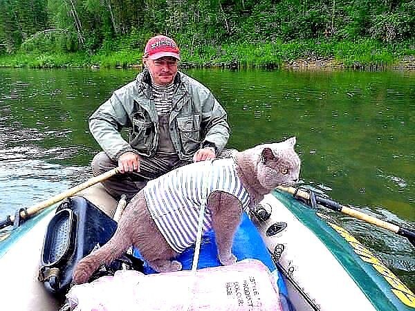 Кот Матроскин на рыбалке.