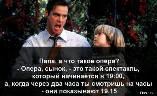 Из солянки