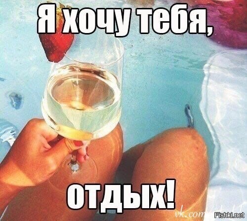 Из солянки