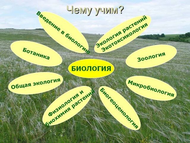 Современный учебник биологии