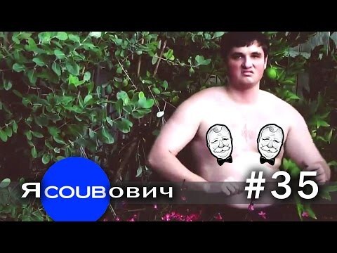 яCOUBович - лучшие coub #35