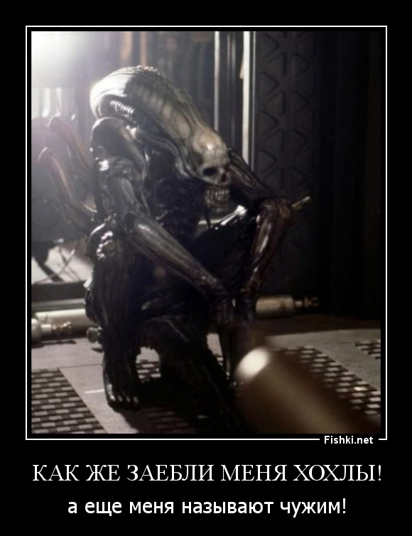 Как же заебли меня хохлы!