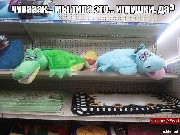 Из солянки