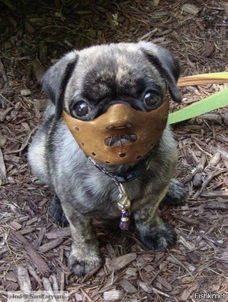 А глаза добрые такие